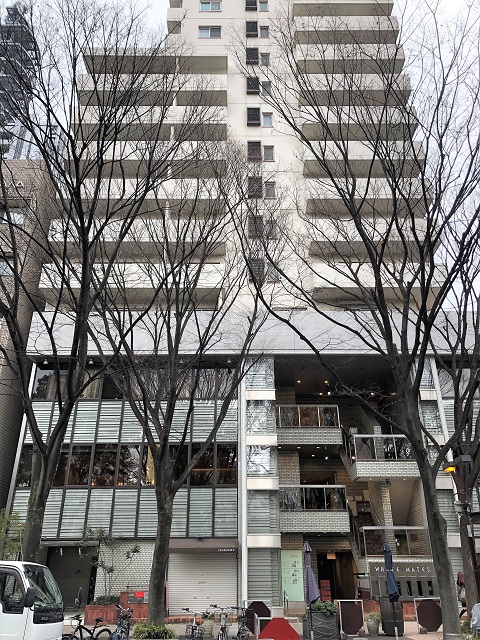 東区泉１　ホワイトメイツ　外観(外観)