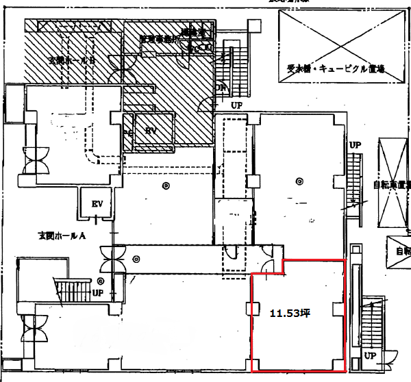 東区泉１　ホワイトメイツ　1階図面(間取)